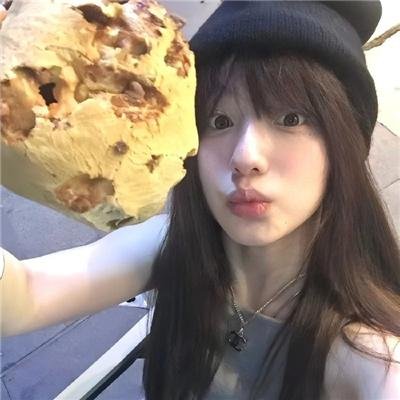 哈兰·科本的庇护所